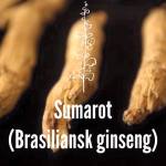 sumarot